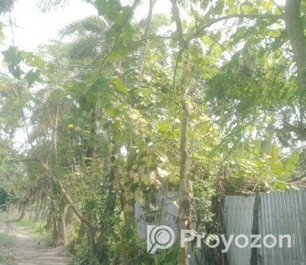 Land For Sell