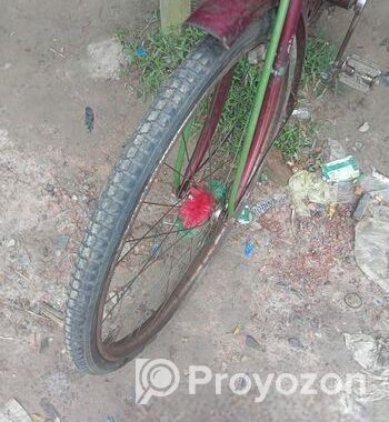 Bicycle for Sale