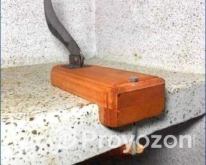 fitted-45_2025-10-12_09-48-32