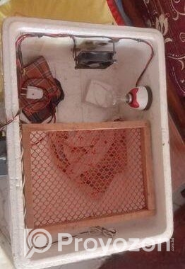 ইনকিউবেটর মেশিন