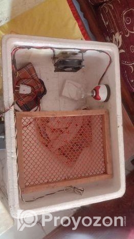 ইনকিউবেটর মেশিন