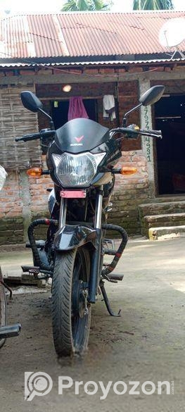 Suzuki Hayate . 2023