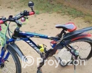 fitted-45_2025-10-26_19-28-29