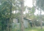 Land For Sell