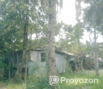 Land For Sell