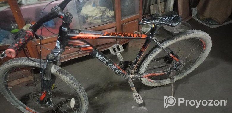 Bicycle for Sale