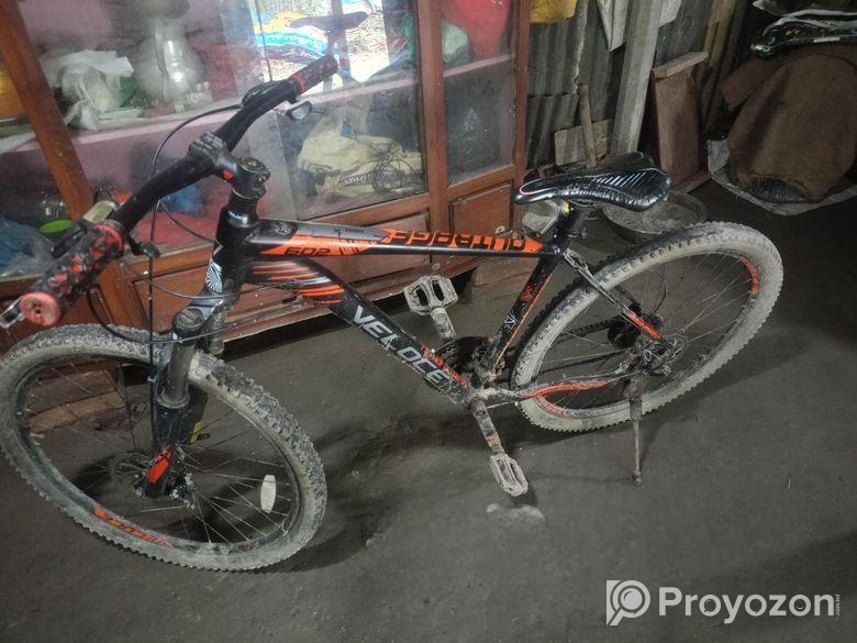 Bicycle for Sale