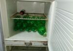 Singer fridge