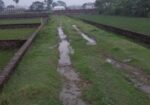 রংপুর শহরের প্রিমিয়াম লোকেশন — দর্শনা পাহাড়ি মৌজায় জমি বিক্রয় চলছ