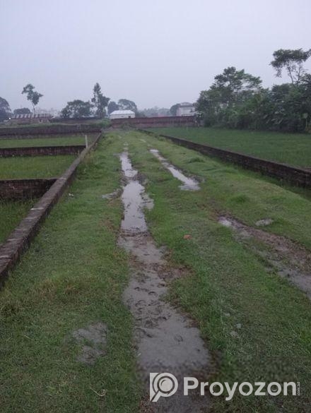 রংপুর শহরের প্রিমিয়াম লোকেশন — দর্শনা পাহাড়ি মৌজায় জমি বিক্রয় চলছ