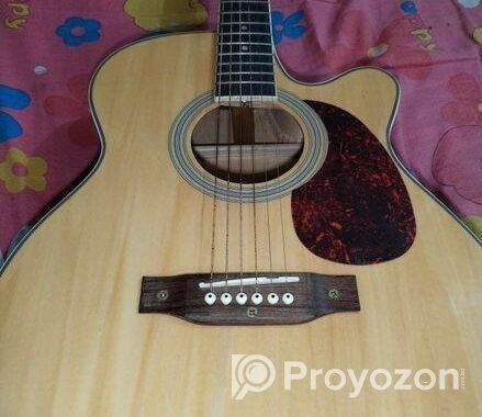 Guitar for sell