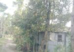 Land For Sell