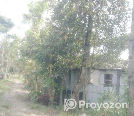 Land For Sell