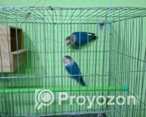 fitted-47_2025-10-29_11-03-29