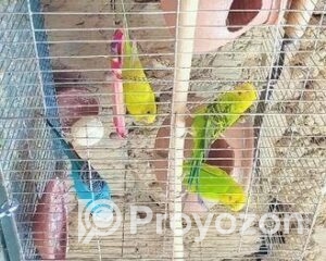 fitted-47_2025-10-29_12-05-25