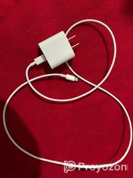 Apple 20 Wat charger