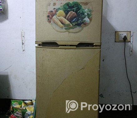 Singer fridge