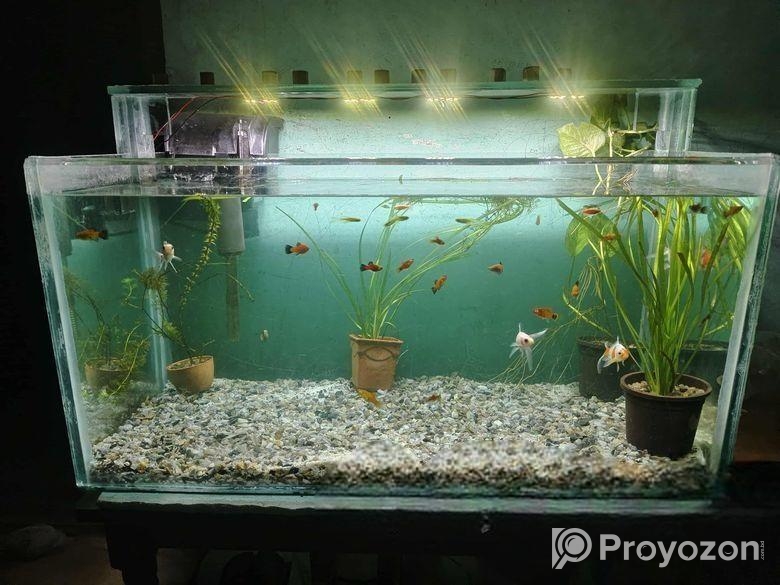 Big size aquarium for sell with full setup
