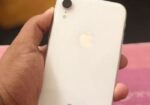 Apple iPhone XR (Used)
