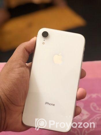 Apple iPhone XR (Used)