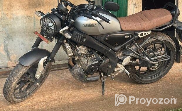 Yamaha XSR 155 . 2021