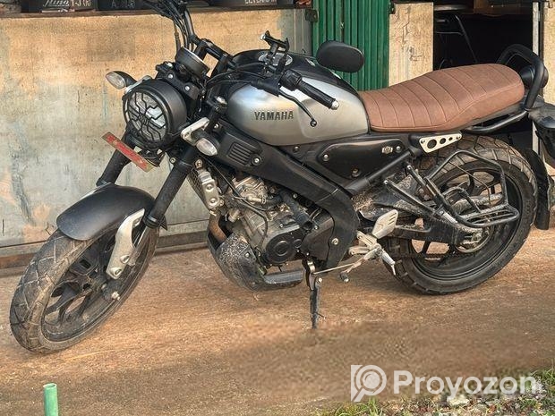 Yamaha XSR 155 . 2021