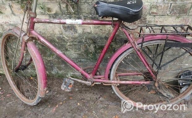 Bicycle for sale