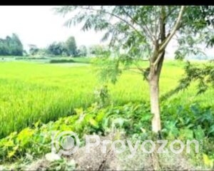 fitted-4_2025-10-28_18-36-17