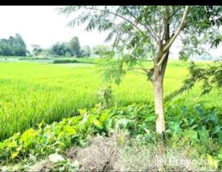 18 Sotangso Daner Jomin Bikri Hobe