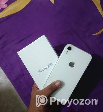 Apple iPhone XR (Used)