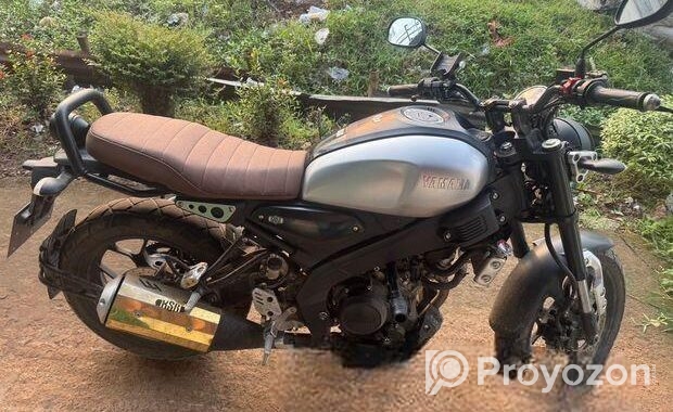 Yamaha XSR 155 . 2021