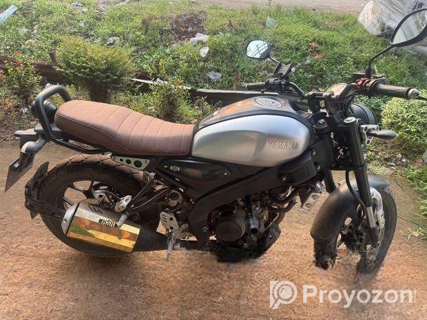 Yamaha XSR 155 . 2021