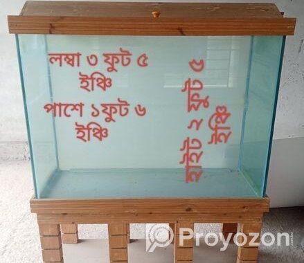 একুরিয়াম