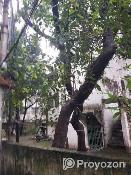 মানিকগঞ্জে বন্ধ জুতা কারখানা বিক্রি