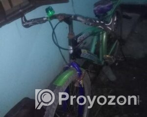 fitted-50_2025-10-28_10-54-26