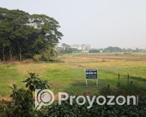 fitted-50_2025-10-28_17-05-01