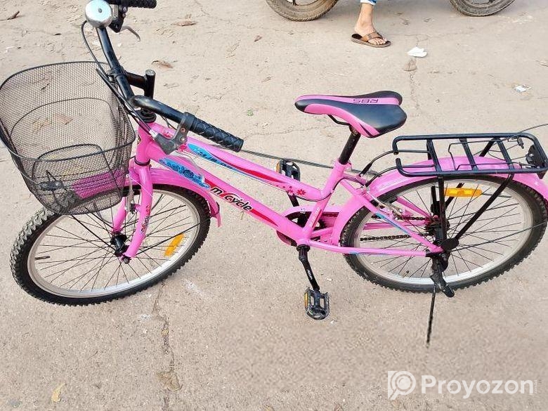 লেডিস সাইকেল