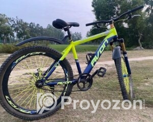 fitted-51_2025-10-29_11-09-59