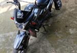 Suzuki Hayate . 2020