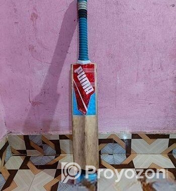Cricket Bat