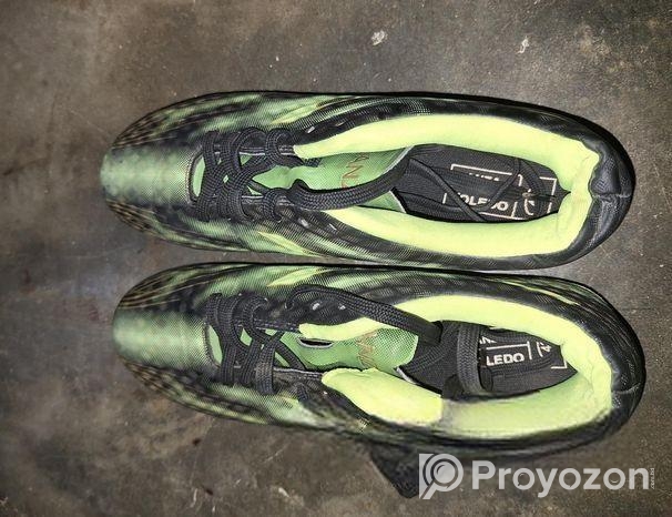 এক জোড়া কেটস্