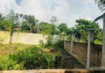 জরুরি জমি বিক্রয় –৬ শতক , মাইজঘুনা, শাহারবিল, চাকরিয়া, কক্সবাজা