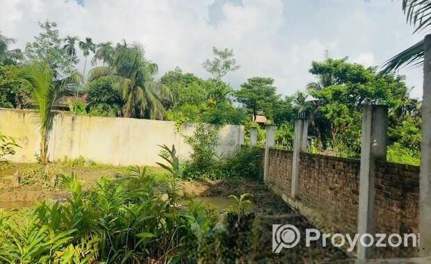 জরুরি জমি বিক্রয় –৬ শতক , মাইজঘুনা, শাহারবিল, চাকরিয়া, কক্সবাজা