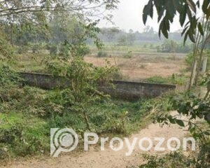 fitted-53_2025-10-21_17-20-55