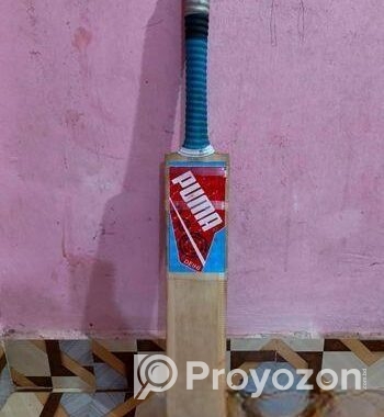 Cricket Bat