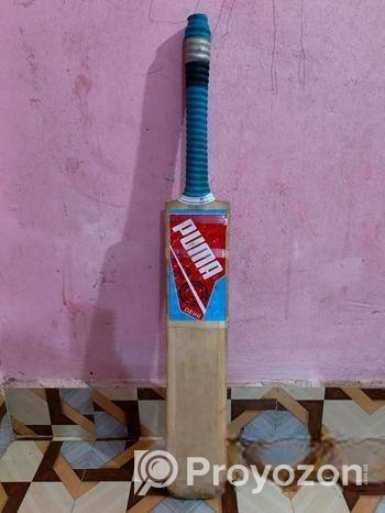 Cricket Bat