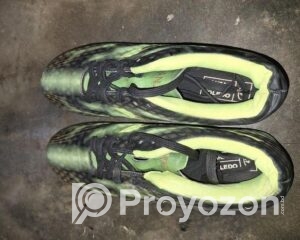 fitted-53_2025-10-25_10-57-40