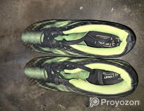 এক জোড়া কেটস্