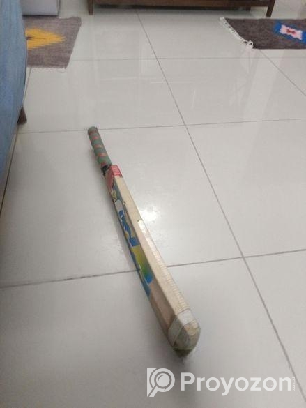 ক্রিকেট ব্যাট