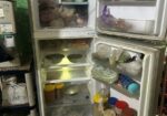 Samsung 260 L No Frost refrigerator